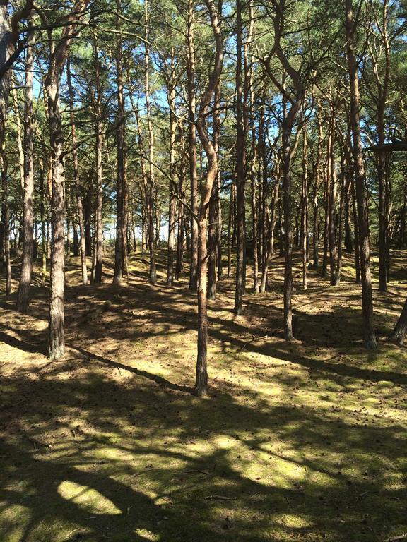 Hotel- & Ferienanlage Kapitaens-Haeuser Бреґе Екстер'єр фото